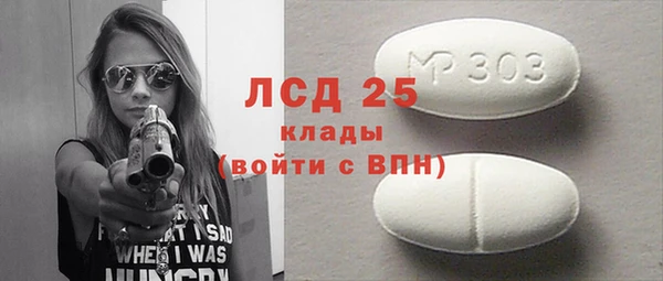 прущие грибы Няндома