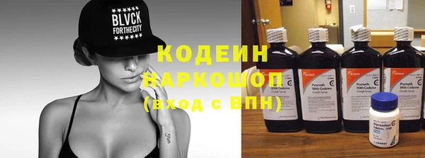 прущие грибы Няндома
