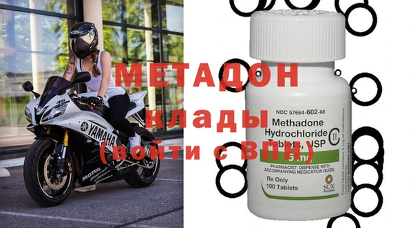 прущие грибы Няндома