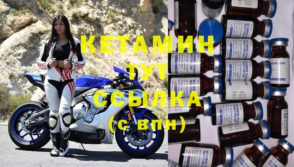 прущие грибы Няндома