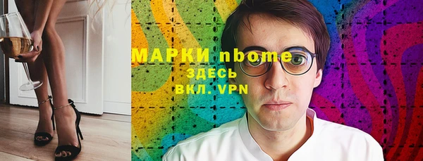 прущие грибы Няндома
