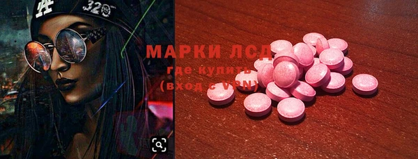 прущие грибы Няндома