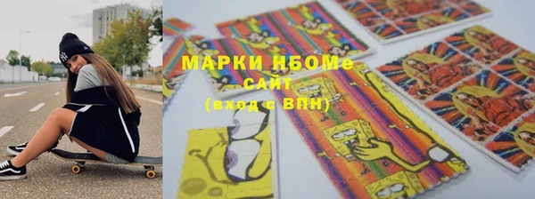 прущие грибы Няндома