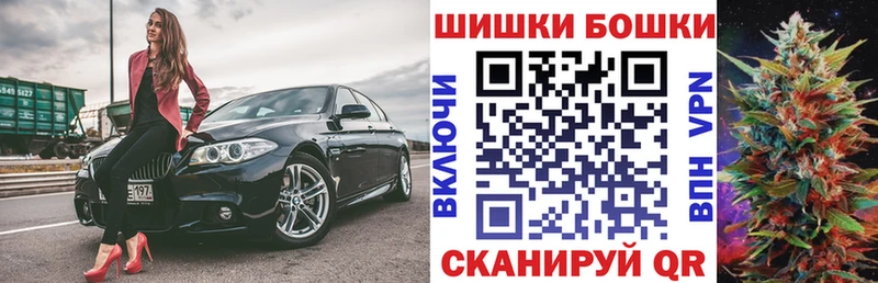 Каннабис OG Kush  Купить закладки  Свободный 
